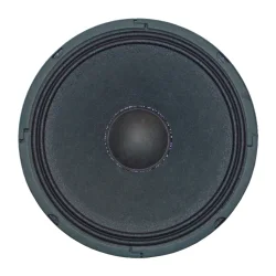 Studiomaster 10" hjttaler enhed