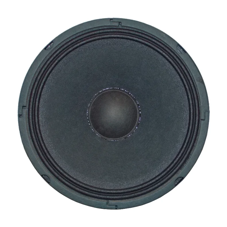 Studiomaster 10" speaker unit