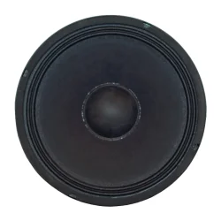 Studiomaster 12" hjttaler enhed