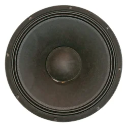 Studiomaster 15" hjttaler enhed